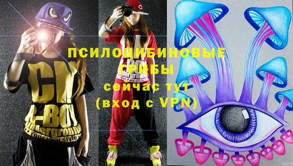 a pvp Алексин