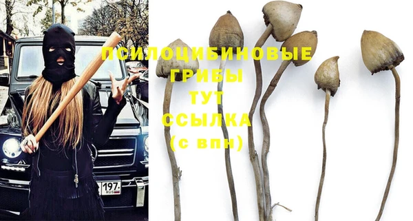 спайс Алексеевка