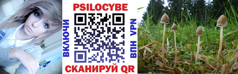 Галлюциногенные грибы мицелий  купить наркотики сайты  Лобня 