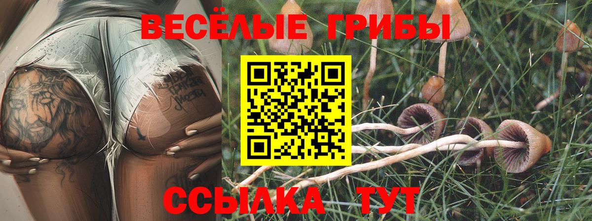 Лобня  Галлюциногенные грибы GOLDEN TEACHER  где купить наркотик  Вход с VPN 