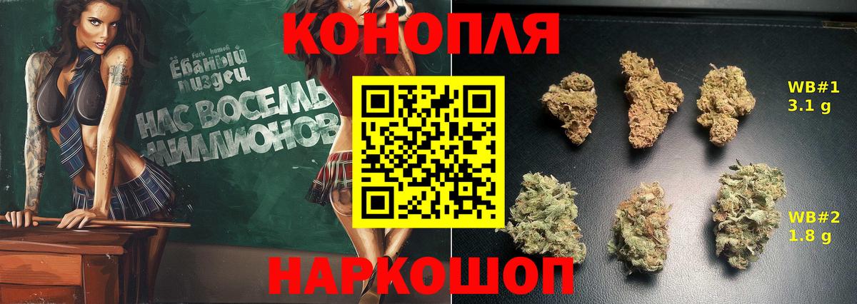 Бошки марихуана план Лобня